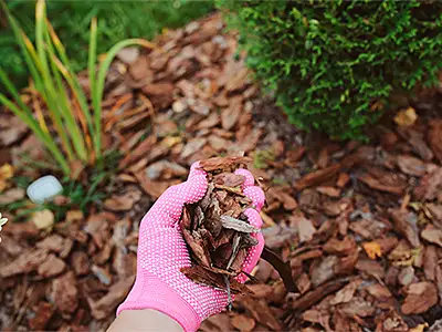 Landscape Materials, Conway, AR Landscape Materials, Conway, AR