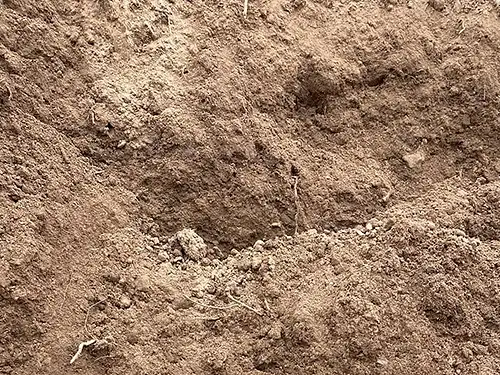 Top Soil, Conway, AR